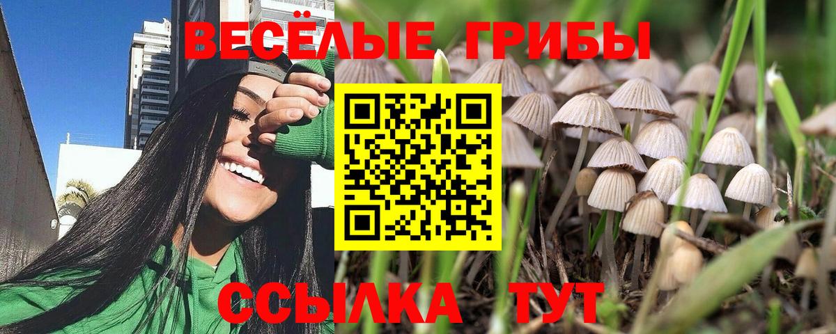 Лыткарино  Галлюциногенные грибы мицелий  Вход с VPN  Галлюциногенные грибы GOLDEN TEACHER 